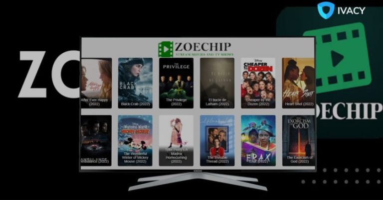 What Is Zoechip? The Complete Zoechip Guide
